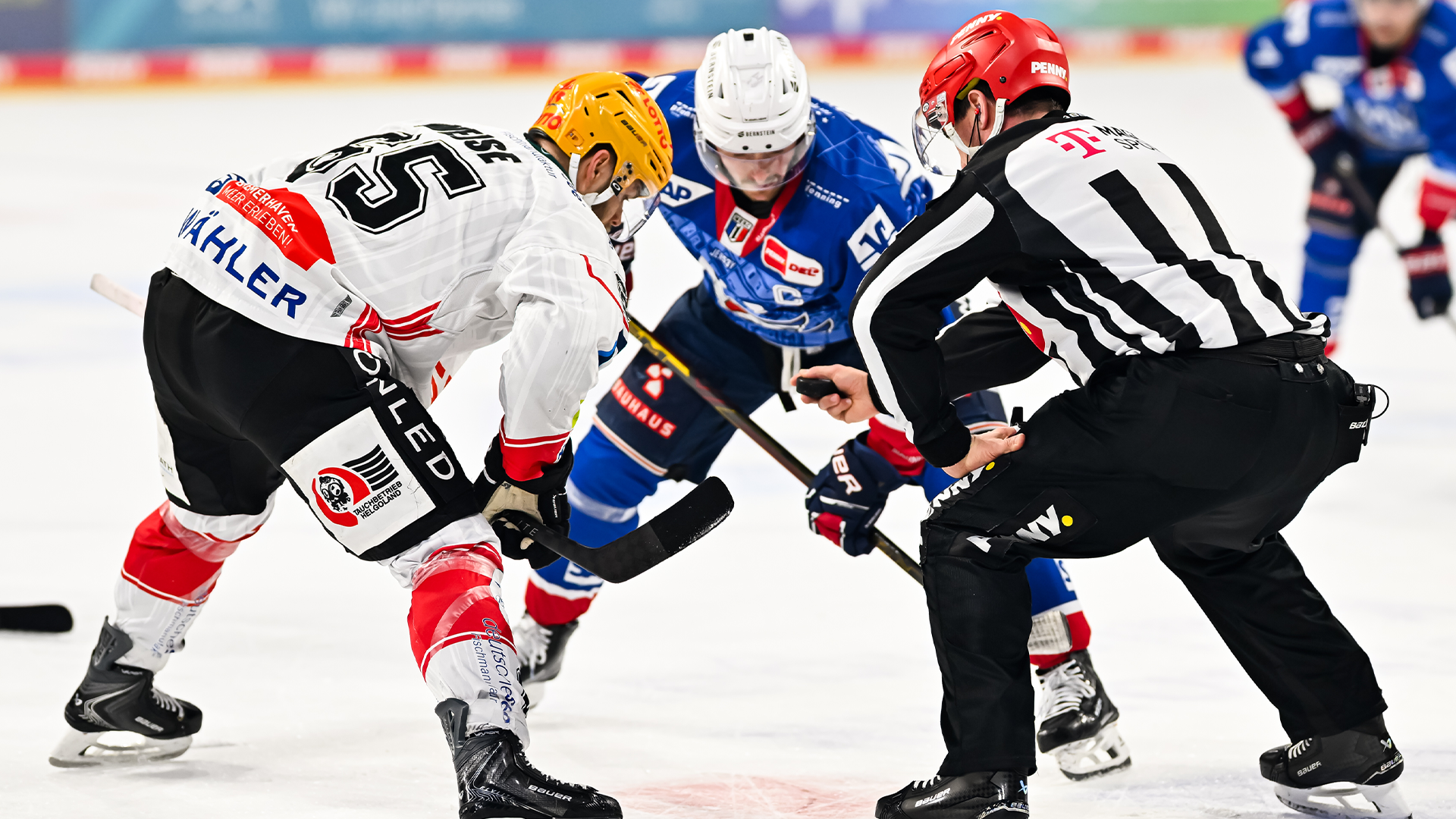 Adler Mannheim gg. Pinguins Bremerhaven